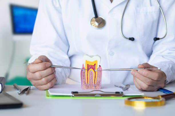 Best Pediatric Emergency Dentist in Lake Camelot, IL